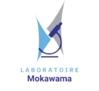 labomokawama.com